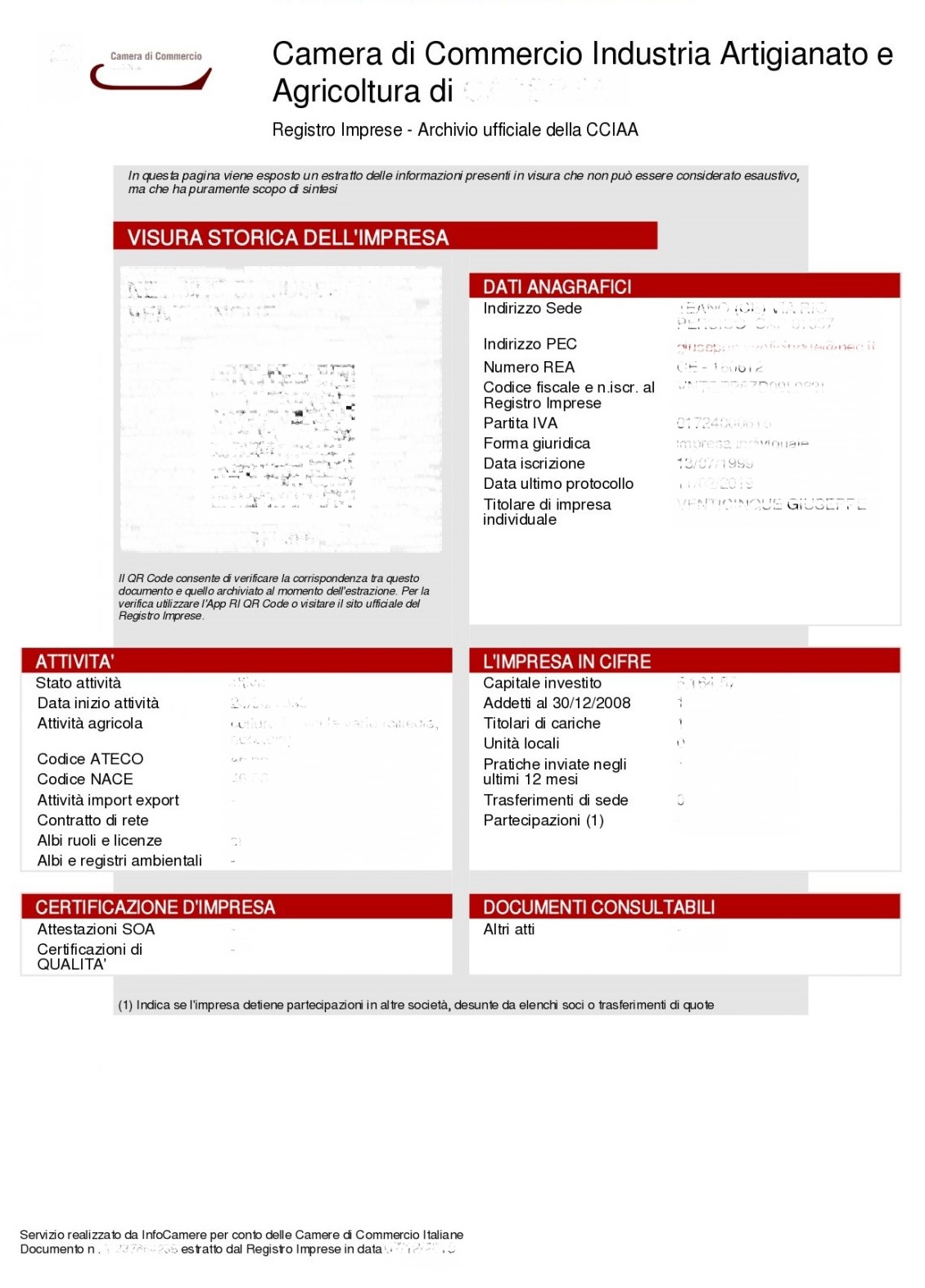 immagine esempio visura camerale storica impresa individuale
